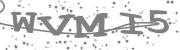 Type the letters in the image or Type the first letter of the words spoken in the audio.