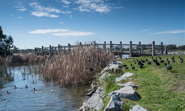 Kingston's Green Wedge