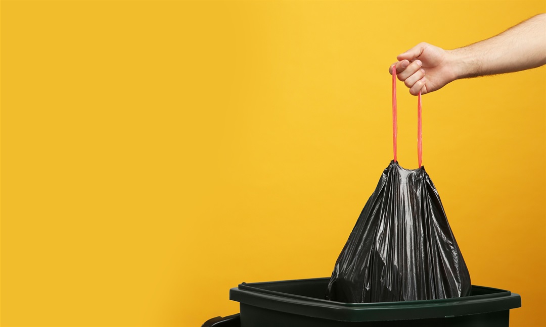 What you can put in your bins City of Kingston