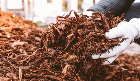 hands full of mulch