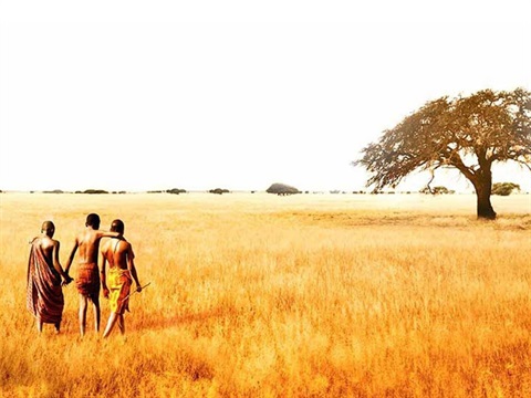 2 males, 1 female walking across a field