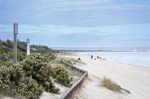 Looking along the beach at Carrum.