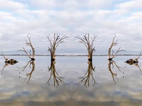 Nici Cumpston, Oh my Murray Darling, 2019, archival pigment print on Hahnemühle paper, 75 x 175 cm. Courtesy the artist and Michael Reid Gallery Sydney + Berlin.