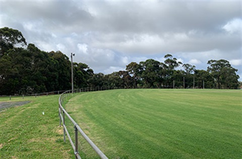 A view of the goal end of a sports oval bordered by trees.