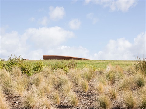 am image of a grassy hill with garden bed and native plants