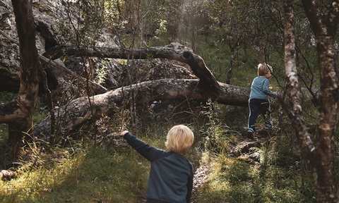 Children walking through bushland.