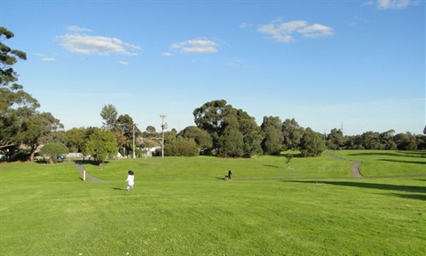 Bald Hill Park.jpg