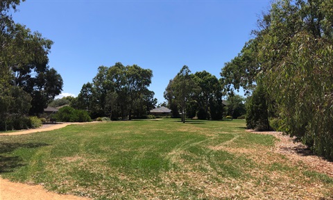 Branagan Drive Reserve.jpg