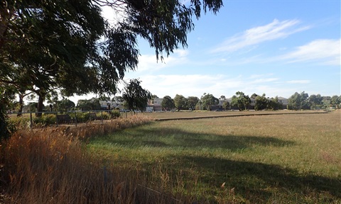 Epsom Conservation Reserve.jpg