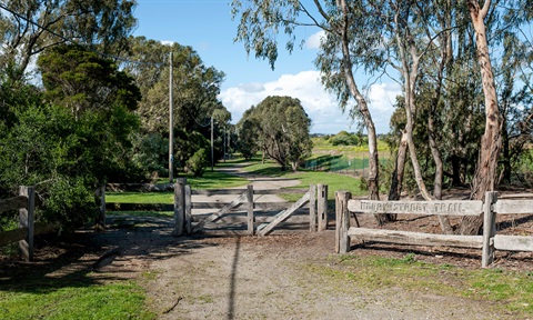 Henry Street Trail.jpg