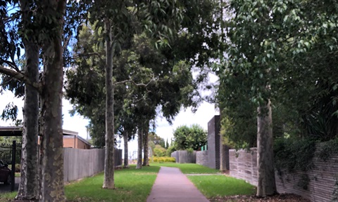 Lorna Street Reserve.jpg