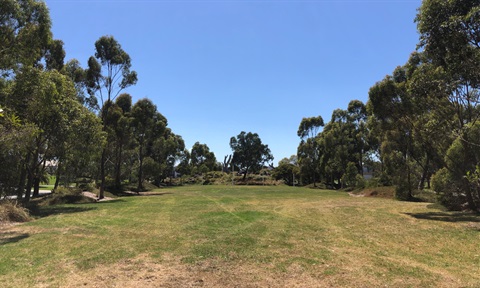 Merri Drive Reserve.jpg