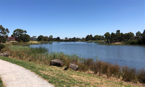 Serpentine Court Reserve.jpg