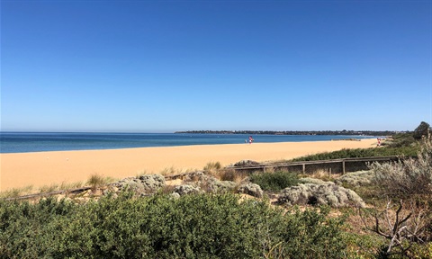 Horse Paddock Foreshore.jpg